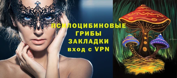 индика Балахна