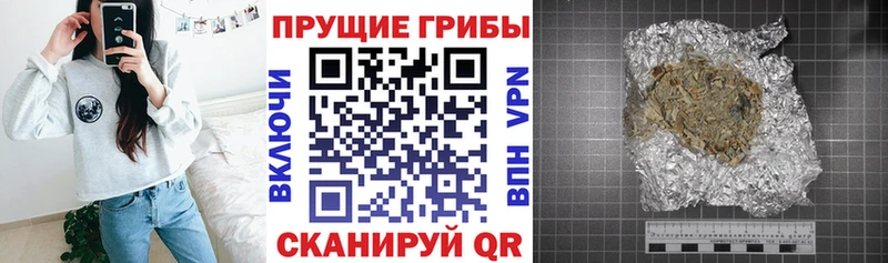 hydra рабочий сайт закладки Калининец Псилоцибиновые грибы GOLDEN TEACHER